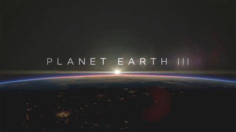 Planet Earth Iii Three Things We Learned From Episode One Bbc Newsround