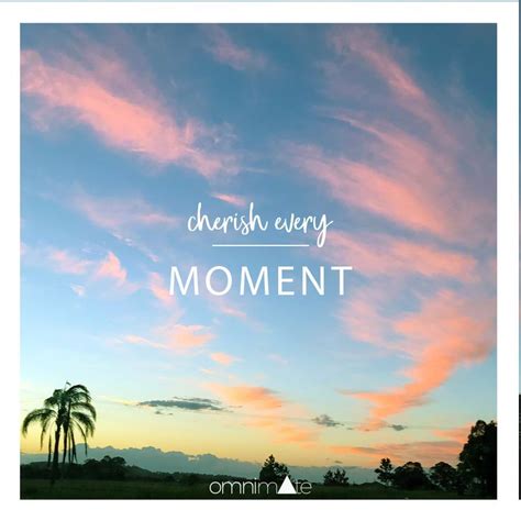 Quote Cherish Every Moment Cherish Every Moment In This Moment