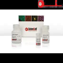 Total Antioxidant Capacity Assay