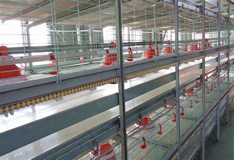 Broiler Chicken Farming Equipment for Sale in Commercial Poultry ...