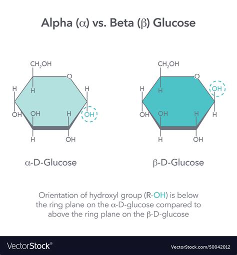 Alpha Vs Beta Glucose Royalty Free Vector Image