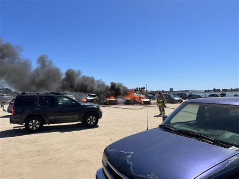 Fiesta Island Weeny Dog Roast : r/sandiego