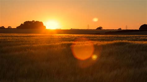 Moments In The Cambridgeshire Countryside on Behance