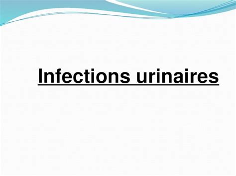 Ppt Infections Urinaires Sch Mas De L Arbre Urinaire Lorigine Peut