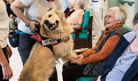 Pet Therapy che cosè benefici e attività