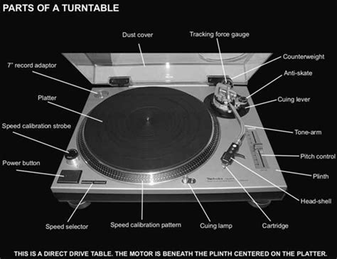 The Ultimate Guide To Vinyl Buying A Turntable Used Records And More