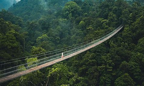 Situ Gunung Sukabumi Daya Tarik Harga Tiket Masuk Dan Lokasinya