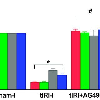 The Effect Of Ag On The Gene Expression Of Nrf Downstream Target