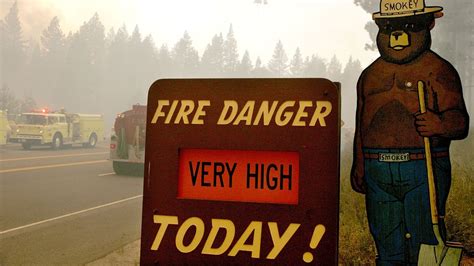 Why Smokey Bear Desperately Needs A Makeover