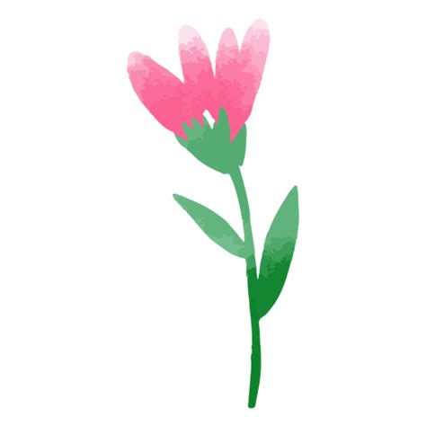 Design Png E Svg De Natureza Tulipa Aquarela Para Camisetas