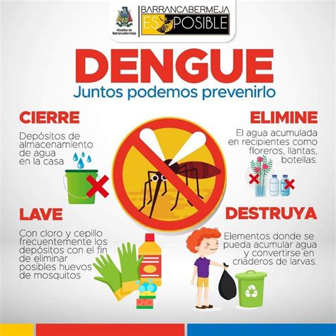 Consejos Para Controlar La Propagaci N De Mosquitos Portadores De