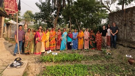 Agricultural life in the Sundarbans - West Bengal Water Project