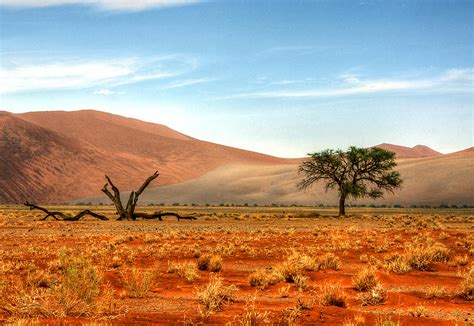 Namibia Desert by Björn Disch