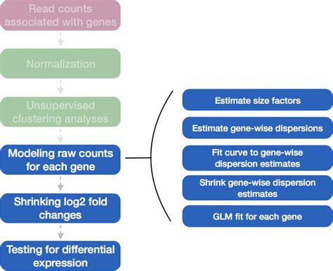 Gene Level Differential Expression Analysis With DESeq2 Introduction