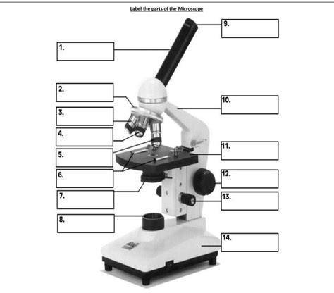 Science Lg Introduction To Microbes Diagram Quizlet