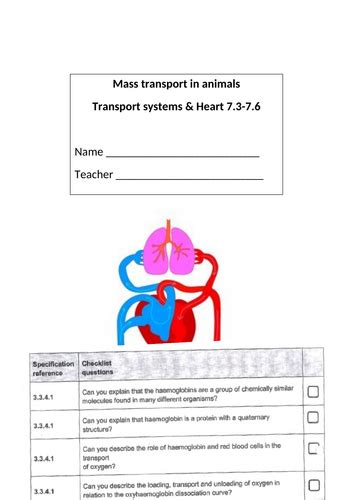 A Level Aqa Biology Animal Transport Workbook Teaching Resources