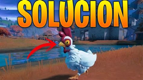 Atrapa Un Pollo Atrapa Una Gallina Fortnite Ubicaciones De Pollos Y