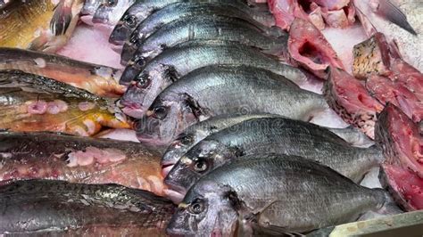 Market Stall with Various Types of Fish, Some with Pink Hues, Displayed ...