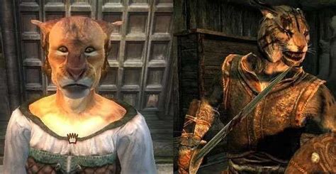 Arena Khajiit