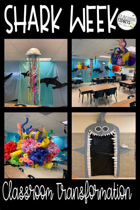 Shark Activities For The Classroom Artofit