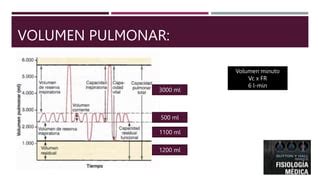 Fisiologia Pulmonar Guyton Introducci N Pptx Ppt