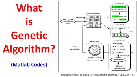 What Is Genetic Algorithm Bodybuilding And Fitness Program Images And