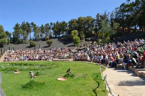 Rancho Texas Lanzarote Park Entrance Ticket | GetYourGuide