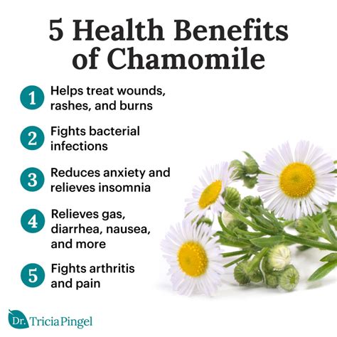 5 Surprising Chamomile Tea Benefits - Dr. Pingel