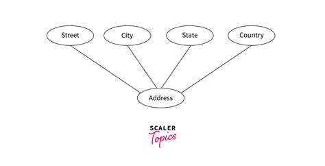 What Is Er Model In Dbms Scaler Topics