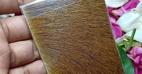 kulit lulang kidang emas jimat azimat batu mustika geliga keris