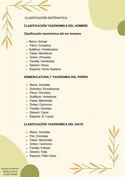 Tarea Para Guiarse Clasificaci N Sistematica Clasificaci N Taxonomica