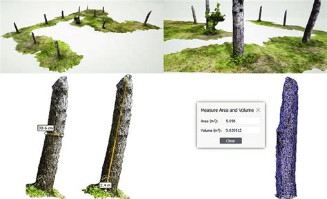 A 3d Visualization Of Tree Stems Of Plot E And Calculation Of Diameter