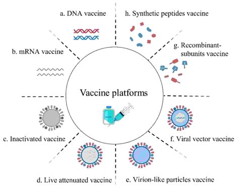 Top 10 Vaccines Developed Through Microbiology