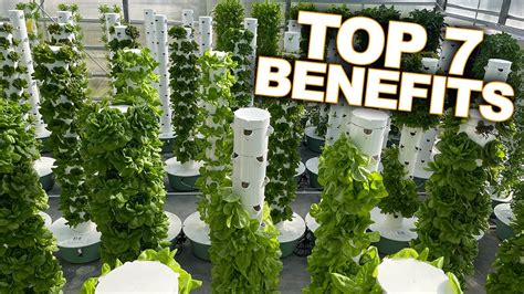 Vertical Farming With Aeroponics Top 7 Benefits Of A Tower Farm Youtube