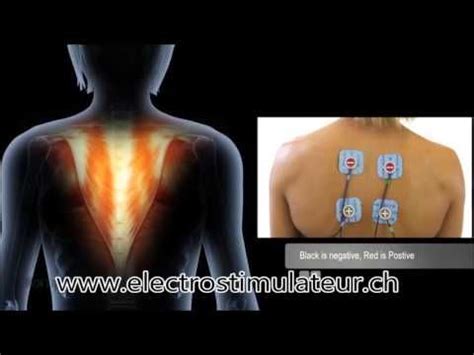 Electrostimulation Du Dos Et Du Grand Dorsal Bien Positionner Ses