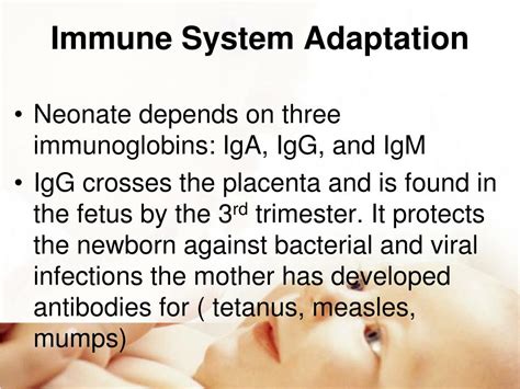 Ppt Newborn Transition Assessment Powerpoint Presentation Free