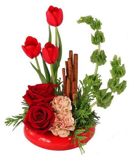 Red Hot Roses & Tulips Flower Arrangement in Corydon, IN - HEART & SOUL FLORIST LLC