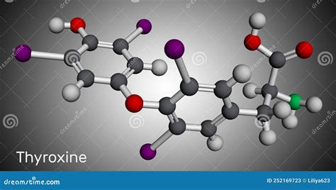 Thyroxine T4 Levothyroxine Molecule It Is Thyroid Hormone