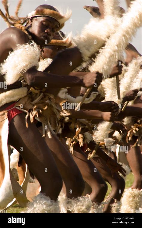 Zulu Warriors Show Their Moves At A Dance Competition In The KwaZulu