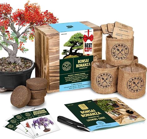 Essential Gardening Tools For Beginners Cultivate Success Bonsai