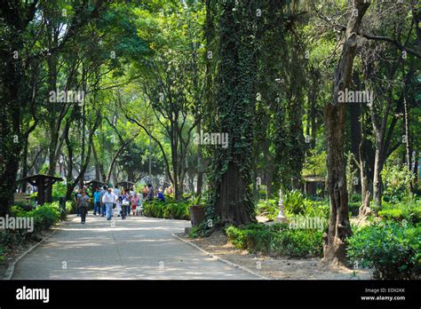 Parque Mexico (Mexico Park) in the La Condesa neighborhood of Mexico ...