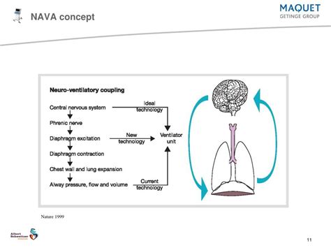 Ppt Nava Neurally Adjusted Ventilatory Assist Powerpoint Presentation