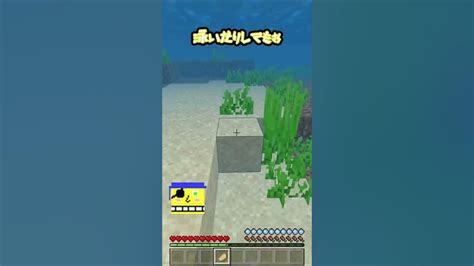 【マイクラの不思議】マイクラのおかしな事シリーズ！！体力ゲージ編！！！shorts Minecraft マインクラフト マイクラ統合版