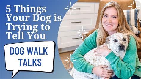 Dog Walk Talks With Dr Steph 5 Things Your Dog Is Trying To Tell You