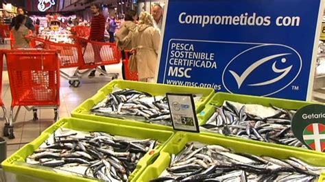 Más De 50 Entidades Se Unen A Msc Para Promover La Pesca Sostenible Y