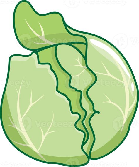 Cabbage Vegetable Cartoon Kawaii Style Cabbage Vegetable Mascots Isolated Illustration 22709327 Png