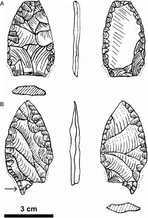 Fishtail Projectile Points From Paso Otero 5 A Reddish Silicified