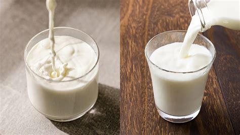 Skim Milk Vs Whole Milk Which Is Healthier India Tv