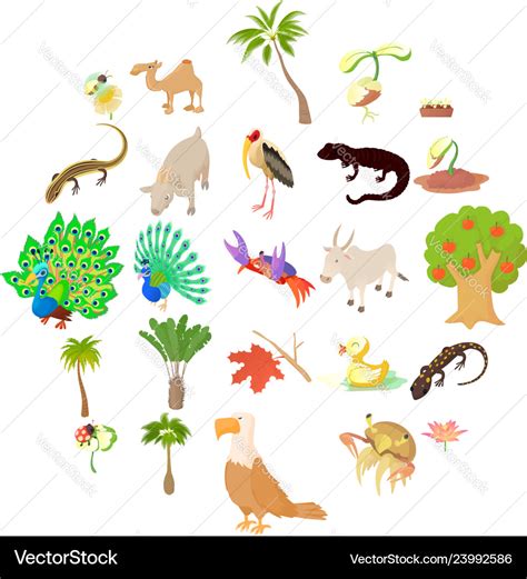 Plants And Animals Clip Art