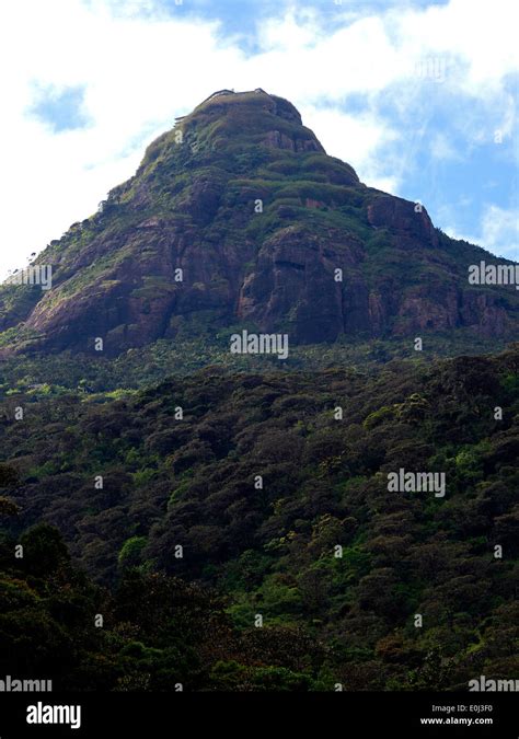 Mountain Adams Peak In Sri Lanka Stock Photo Alamy